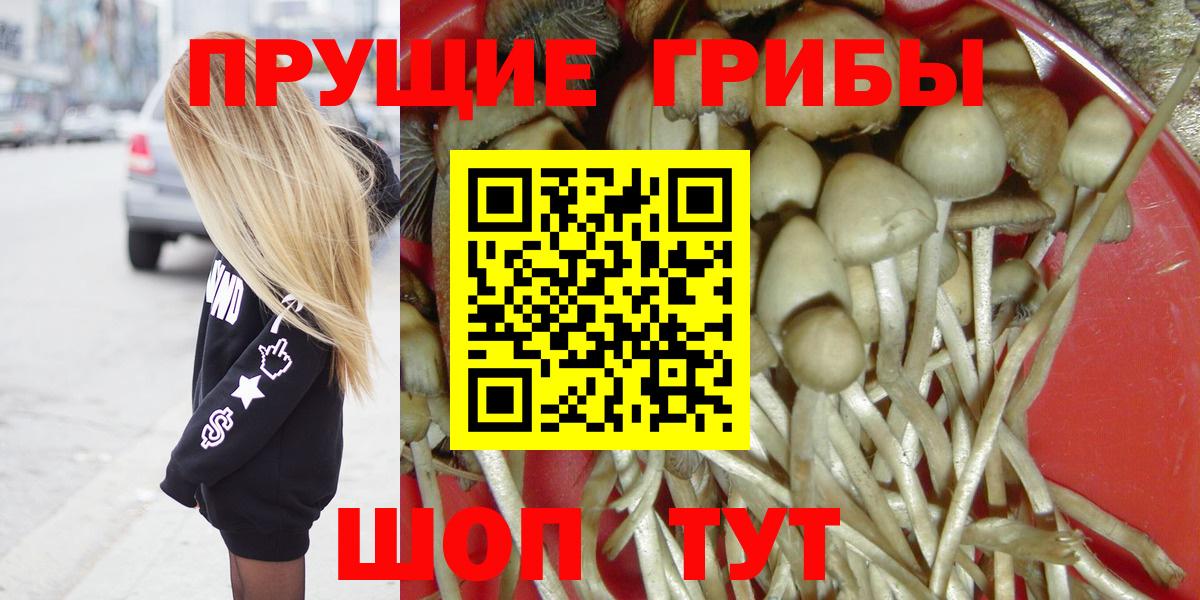 Галлюциногенные грибы ЛСД Курчалой